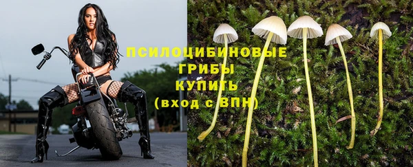 мяу мяу мука Алексин