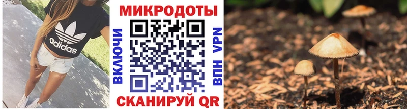 купить наркоту  ссылка на мегу ССЫЛКА  Псилоцибиновые грибы MAGIC MUSHROOMS  Балаково 